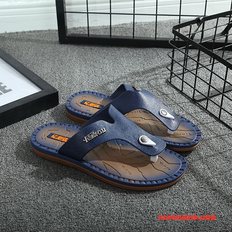 Herr Flip-flops Rea Sommar Utomhus Trend Flip Flops Casual Blå